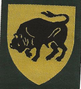 Øst Himmerland Division