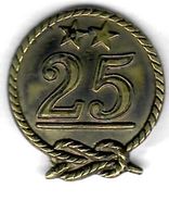 25. Københavnske Division