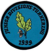 1999 - Junior Divisions Turnering