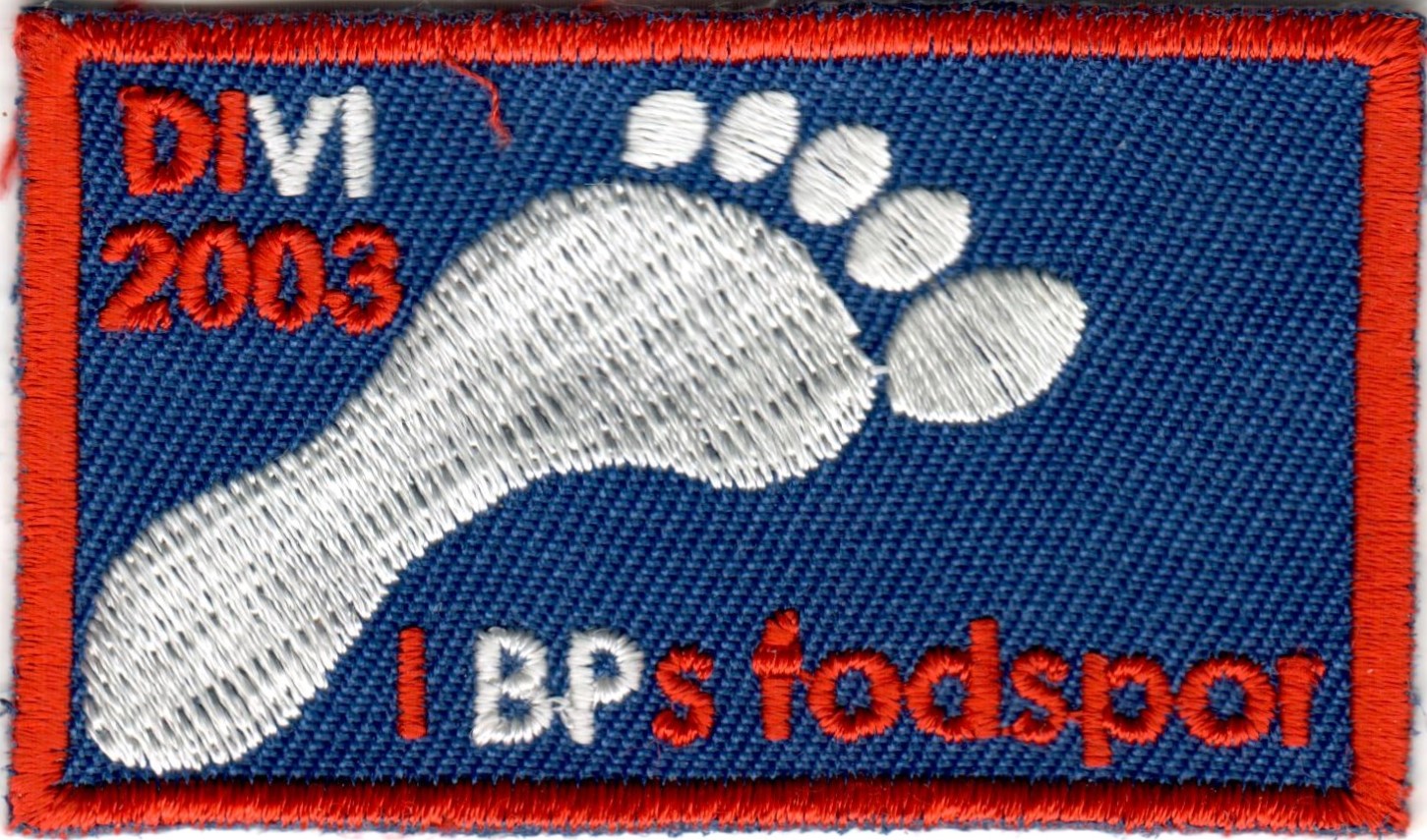 2003 - DIVI - I BPs fodspor