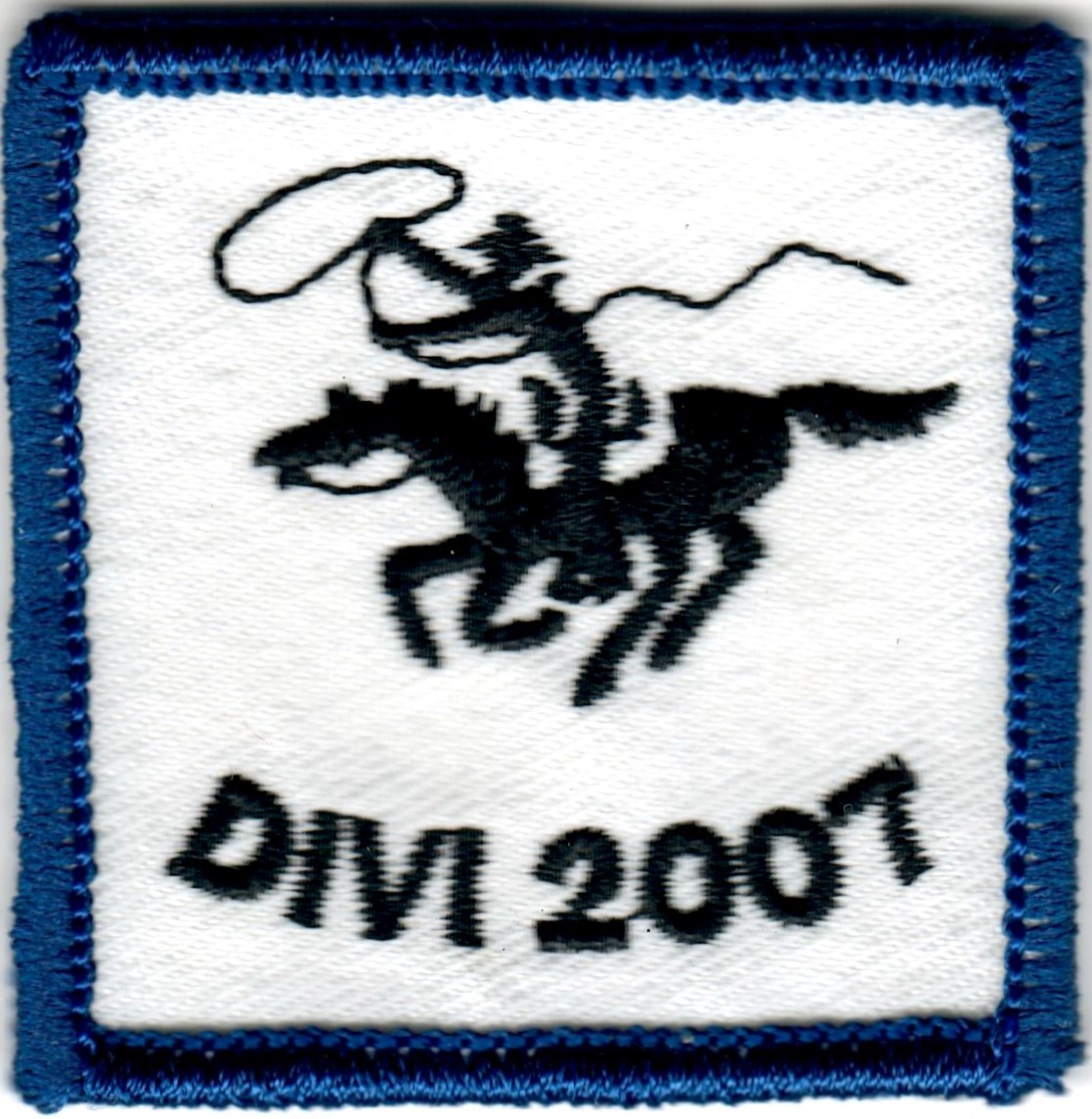 2007 - DIVI