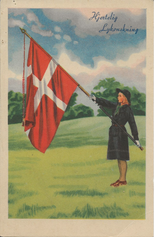 Det danske pigespejderkorps
