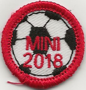 Mini 2018