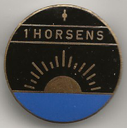 1. Horsens Division