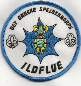 2008 - Ildflue